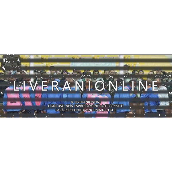 Raduno Nazionale Italiana Cesena (FC) - 17.11.2009 Allenamento Nella Foto:TIFOSI ITALIA /Ph.Vitez-Ag. Aldo Liverani