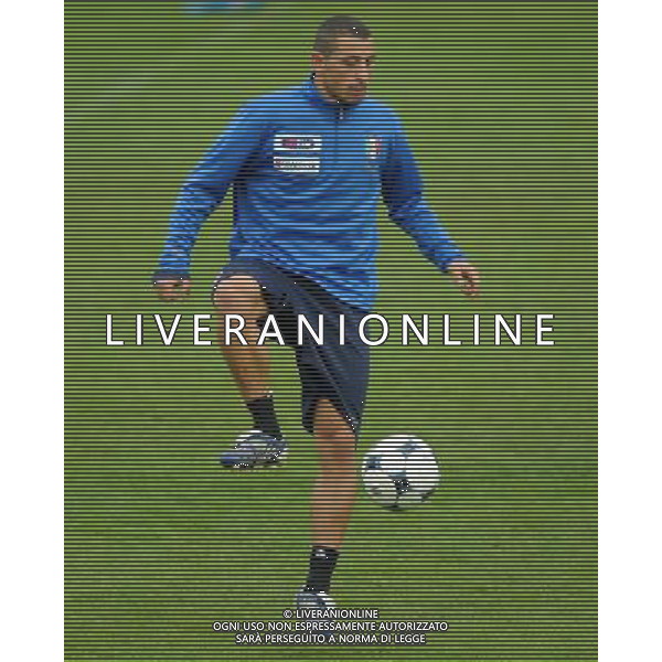 Raduno Nazionale Italiana Cesena (FC) - 17.11.2009 Allenamento Nella Foto:PALOMBO ANGELO /Ph.Vitez-Ag. Aldo Liverani