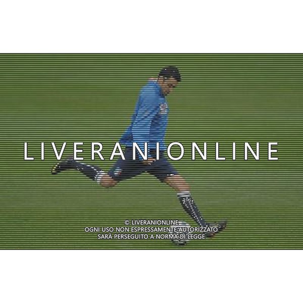 Raduno Nazionale Italiana Cesena (FC) - 17.11.2009 Allenamento Nella Foto:PALLADINO RAFFAELE /Ph.Vitez-Ag. Aldo Liverani