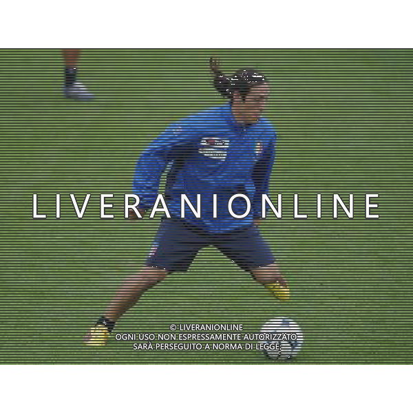 Raduno Nazionale Italiana Cesena (FC) - 17.11.2009 Allenamento Nella Foto:CAMORANESI MAURO /Ph.Vitez-Ag. Aldo Liverani