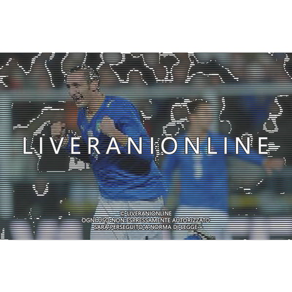 Amichevole Cesena - 18.11.2009 Italia-Svezia Nella Foto:ESULTANZA DOPO IL GOL DI GIORGIO CHIELLINI /Ph.Vitez-Ag. Aldo Liverani