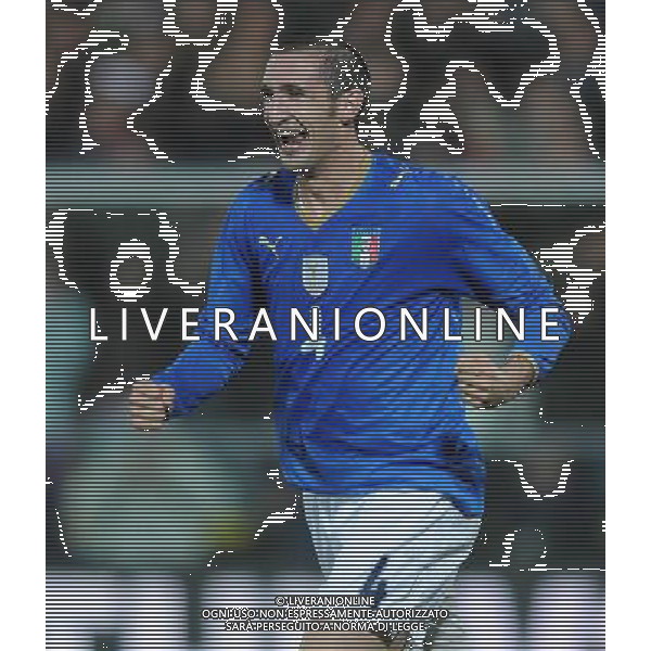 Amichevole Cesena - 18.11.2009 Italia-Svezia Nella Foto:ESULTANZA DOPO IL GOL DI GIORGIO CHIELLINI /Ph.Vitez-Ag. Aldo Liverani