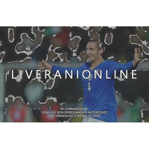 Amichevole Cesena - 18.11.2009 Italia-Svezia Nella Foto: ESULTANZA DOPO IL GOL DI GIORGIO CHIELLINI /Ph.Vitez-Ag. Aldo Liverani