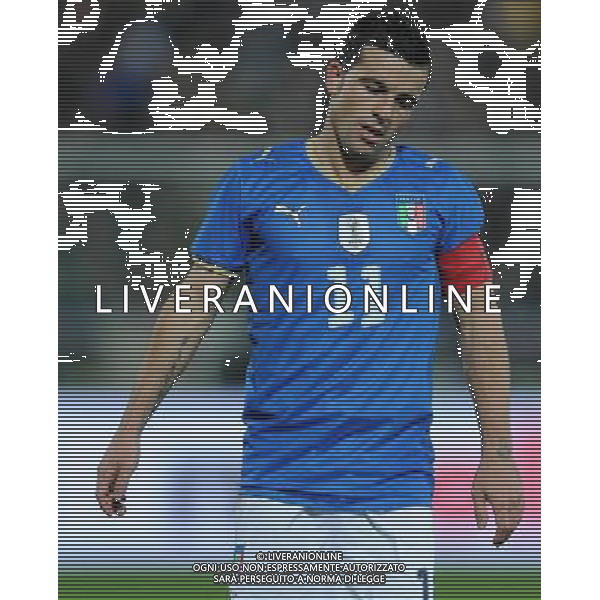 Amichevole Cesena - 18.11.2009 Italia-Svezia Nella Foto:DI NATALE ANTONIO /Ph.Vitez-Ag. Aldo Liverani