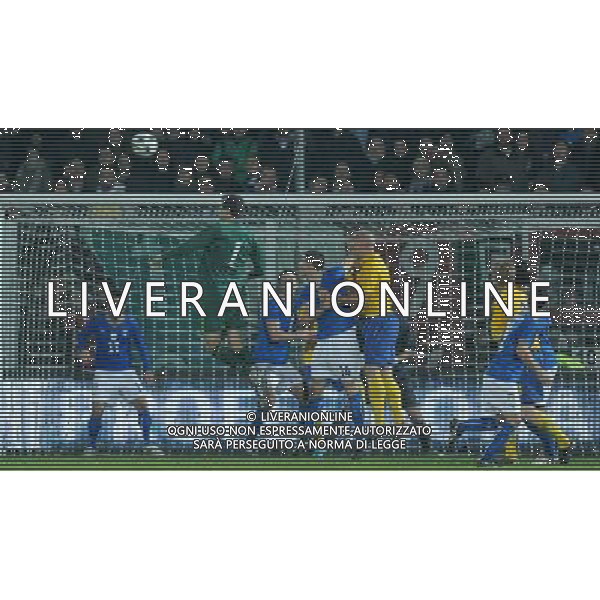 Amichevole Cesena - 18.11.2009 Italia-Svezia Nella Foto:ISAKSSON TENTA IL GOL A FINE PARTITA /Ph.Vitez-Ag. Aldo Liverani