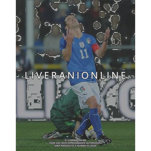 Amichevole Cesena - 18.11.2009 Italia-Svezia Nella Foto:DI NATALE ANTONIO /Ph.Vitez-Ag. Aldo Liverani