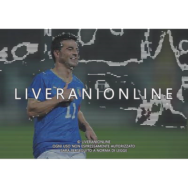 Amichevole Cesena - 18.11.2009 Italia-Svezia Nella Foto:DI NATALE ANTONIO /Ph.Vitez-Ag. Aldo Liverani