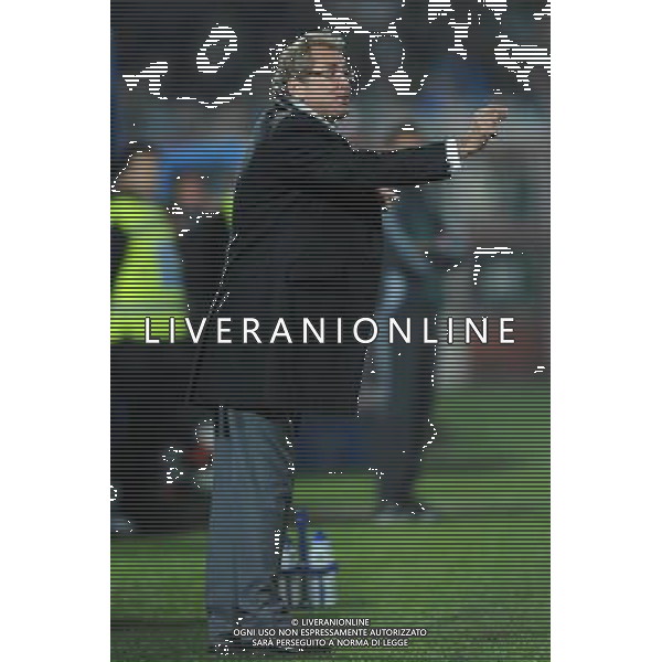 Amichevole Cesena - 18.11.2009 Italia-Svezia Nella Foto:HAMREN ERIK /Ph.Vitez-Ag. Aldo Liverani