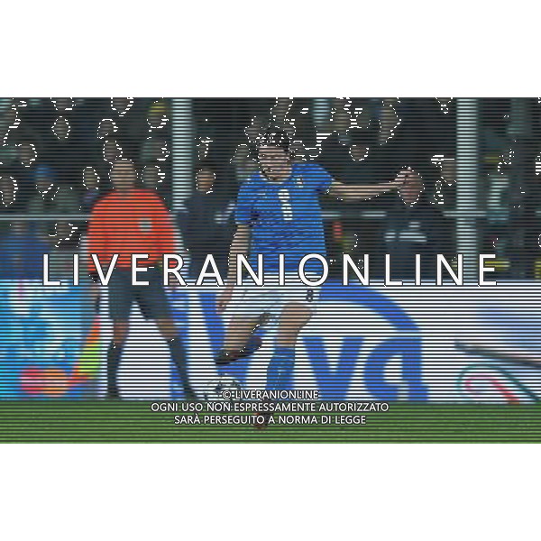 Amichevole Cesena - 18.11.2009 Italia-Svezia Nella Foto:MONTOLIVO RICCARDO /Ph.Vitez-Ag. Aldo Liverani