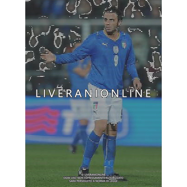 Amichevole Cesena - 18.11.2009 Italia-Svezia Nella Foto:PAZZINI GIAMPAOLO /Ph.Vitez-Ag. Aldo Liverani