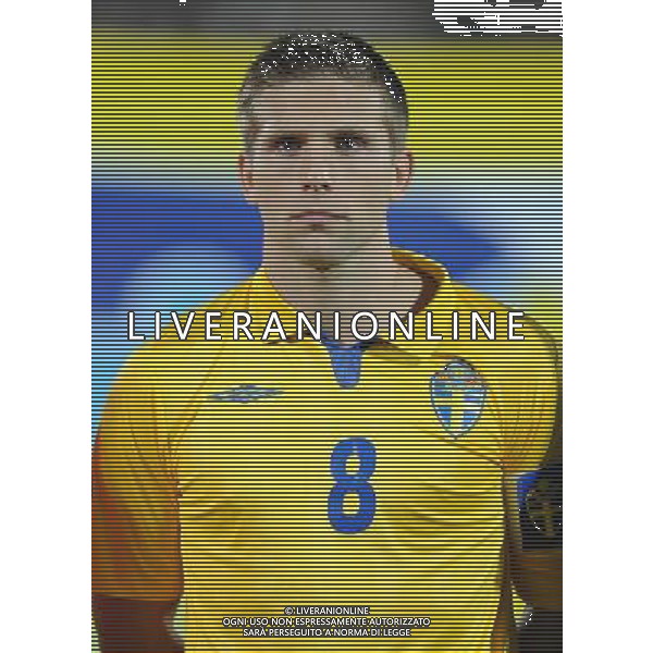 Amichevole Cesena - 18.11.2009 Italia-Svezia Nella Foto:SVENSSON /Ph.Vitez-Ag. Aldo Liverani