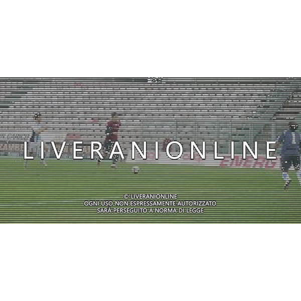 22/11/2009 Reggio Emilio Calcio lega pro - Reggiana-Pescara nella foto il gol di Giuseppe Ingari ph ag aldo liverani sas