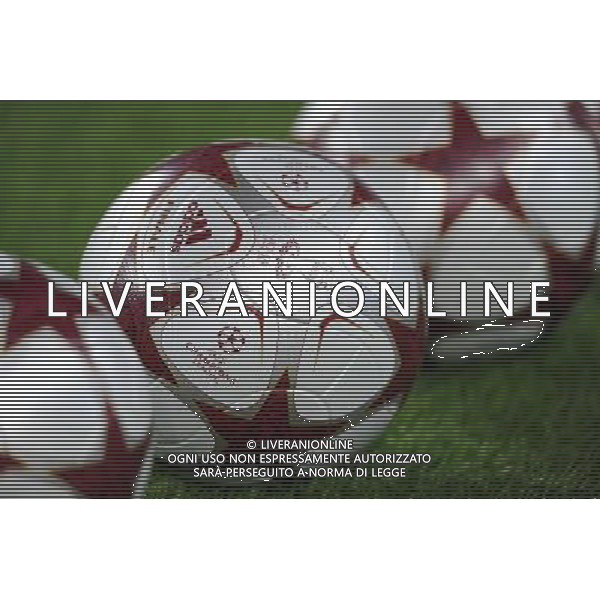 Champions League 2009/2010 Gruppo F MD5 Barcellona - 24.11.2009 FC Barcellona-FC Inter Nella Foto:PALLONI CHAMPIONS LEAGUE /Ph.Vitez-Ag. Aldo Liverani