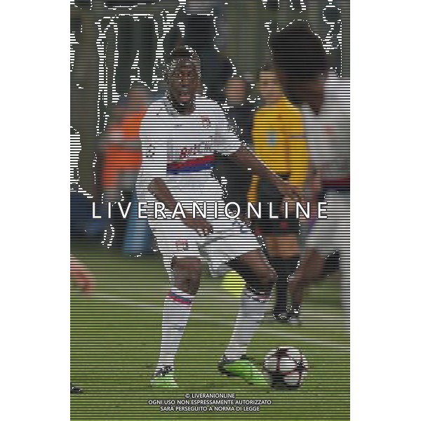 FIRENZE, 24/11/2009, CHAMPIONS LEAGUE 2009-2010 FIORENTINA OLYMPIQUE LIONE NELLA FOTO: ALY CYSSOKO FOTO AG. A. LIVERANI S.A.S.