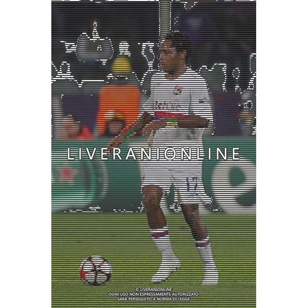 FIRENZE, 24/11/2009, CHAMPIONS LEAGUE 2009-2010 FIORENTINA OLYMPIQUE LIONE NELLA FOTO: JEAN MAKOUN FOTO AG. A. LIVERANI S.A.S.
