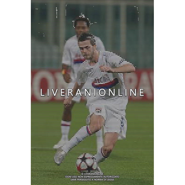FIRENZE, 24/11/2009, CHAMPIONS LEAGUE 2009-2010 FIORENTINA OLYMPIQUE LIONE NELLA FOTO: MIRALEM PJANIC FOTO AG. A. LIVERANI S.A.S.