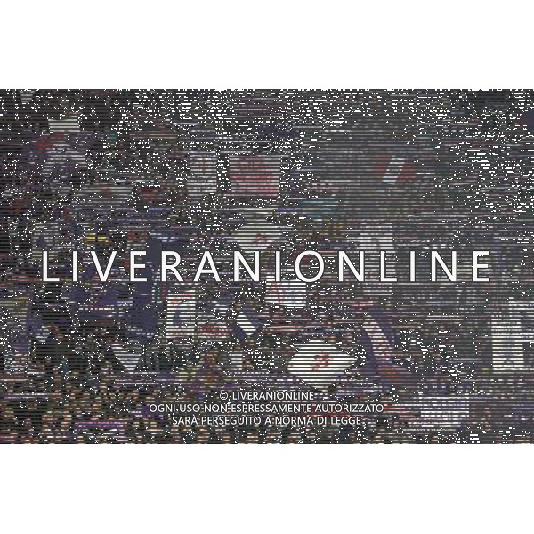 FIRENZE, 24/11/2009, CHAMPIONS LEAGUE 2009-2010 FIORENTINA OLYMPIQUE LIONE NELLA FOTO: TIFOSI DELLA FIORENTINA FOTO AG. A. LIVERANI S.A.S.