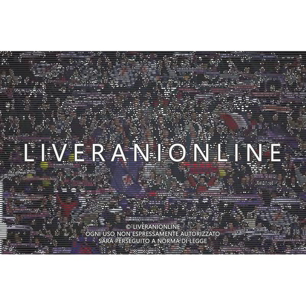 FIRENZE, 24/11/2009, CHAMPIONS LEAGUE 2009-2010 FIORENTINA OLYMPIQUE LIONE NELLA FOTO: TIFOSI DELLA FIORENTINA FOTO AG. A. LIVERANI S.A.S.