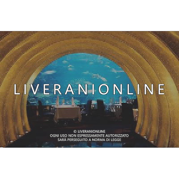United Arab Emirates, Dubai, Burj Al Arab Hotel, underwater restaurant of Al Mehara Date: 21.02.2008 Ref: WP_B643_110477_0037 COMPULSORY CREDIT: World Pictures/Photoshot © PHOTOSHOT - AG. ALDO LIVERANI SAS ITALY ONLY DUBAI - EMIRATI ARABI