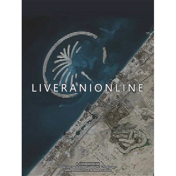 United Arab Emirates, Dubai , Palm Island, artificial island built on the sea off the city (satellite picture) - copyright Palm Island- © PHOTOSHOT - AG. ALDO LIVERANI SAS ITALY ONLY DUBAI - EMIRATI ARABI