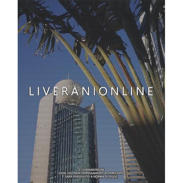 Etisalat Building on Dubai Creek with traveller s palm partly in shadow in the foreground. Ref: B529_124381_01393 Compulsory Credit: Eye Ubiquitous/Photoshot DUBAI - EMIRATI ARABI UNITI /Agenzia Aldo Liverani Sas - ITALY ONLY -