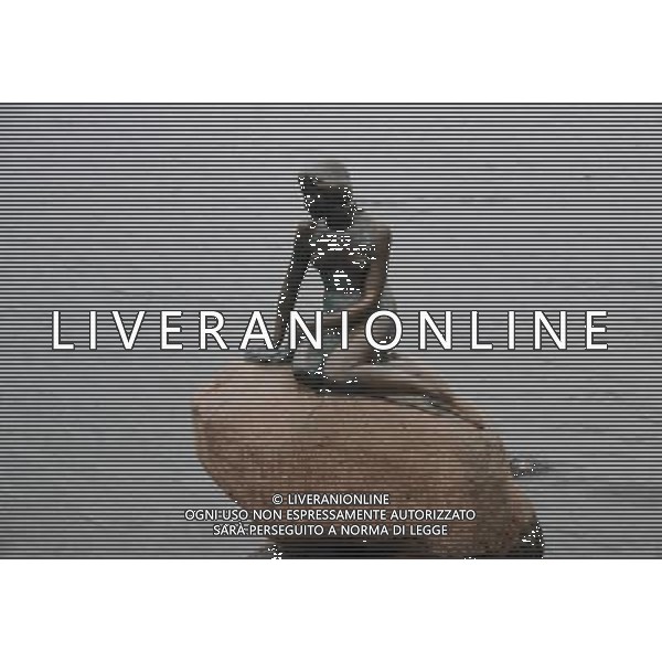 COPENHAGEN ( Danimarca) scorcio della citta\' nella foto: la statua della sirenetta © Zhao Changchun - Xinhua/Photoshot. - Ag. Aldo Liverani sas ITALY ONLY