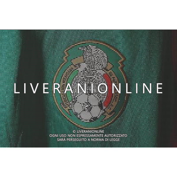 Sorteggi della fase finale dei Mondiali di calcio Sud Africa 2010 - maglia della nazionale messicana - messico 04.12.2009, Kapstadt, SŸdafrika, FIFA Fu§ball-Weltmeisterschaft 2010, World Cup, Cape Town, South Africa, Final Draw, Auslosung, Ziehung, Merchandising, Official Fan Shop, Offizieller Fan Shop, Fanartikel, copyright by firo sportphoto/Agenzia Aldo Liverani Sas - ITALY ONLY -