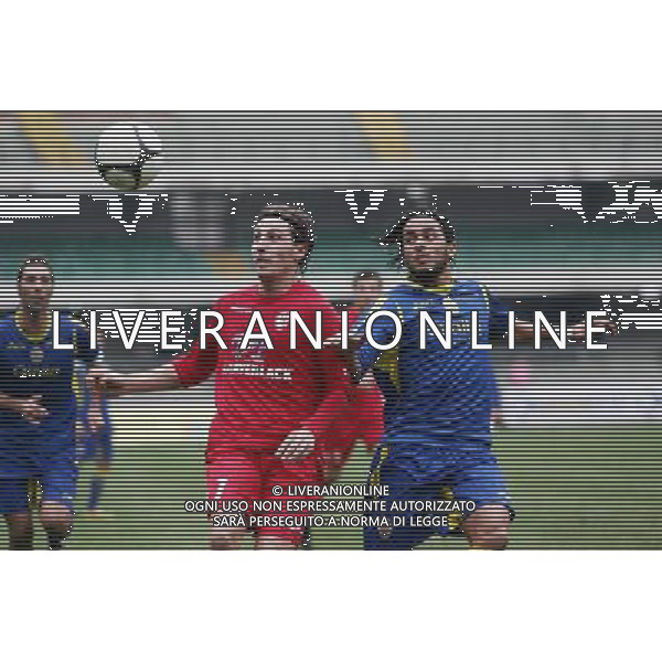 VERONA 06/12/2009 PRIMA DIVISIONE GIRONE B HELLAS VERONA-RIMINI CALCIO NELLA FOTO:NOLE\' ANGELO RAFFAELE E ESPOSITO GENNARO FOTO PAOLA GARBUIO/AG.ALDO LIVERANI