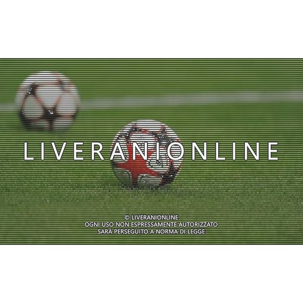 Champions League 2009/2010 Gruppo F MD6 Milano - 09.12.2009 FC Inter-FC Rubin Kazan Nella Foto:PALLONI CHAMPIONS /Ph.Vitez-Ag. Aldo Liverani