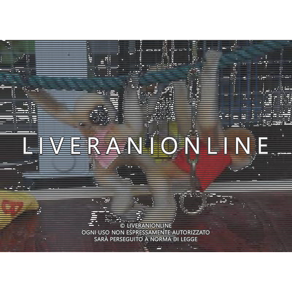 (091215) -- NANNING, Dec. 15, 2009 -- Gibbon cubs play in the Zoo of Nanning City, southwest China\'s Guangxi Zhuang Autonomous Region, Dec. 14, 2009.The rare white cheek gibbon cubs are well cared of in the zoo. Huang Xiaobang) (px) Rari Cuccioli di Gibboni Bianchi - scimmie - animali /Agenzia Aldo Liverani Sas - ITALY ONLY -