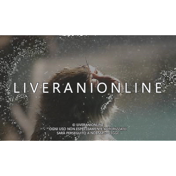 SCIMMIA - SCIMMIE RAZZA MACACO, MENTRE FANNO IL BAGNO NELLA RISERVA NATURALE DI NANWAN A LINGSHUI ( CINA) © zhao yingquan - Xinhua - Photoshot - Ag. Aldo Liverani sas ITALY ONLY