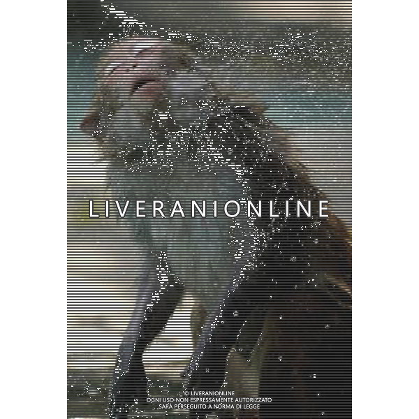 SCIMMIA - SCIMMIE RAZZA MACACO, MENTRE FANNO IL BAGNO NELLA RISERVA NATURALE DI NANWAN A LINGSHUI ( CINA) © zhao yingquan - Xinhua - Photoshot - Ag. Aldo Liverani sas ITALY ONLY