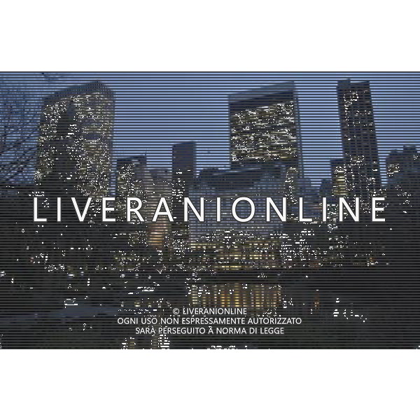 Central Park at Dusk with View of the Pond and Central Park South Buildings, New York City, 12/14/2009. Buildings include GM Building and Plaza Hotel. Photo Credit: Dan D\'Errico - Photoshot - Ag. Aldo Liverani sas ITALY ONLY