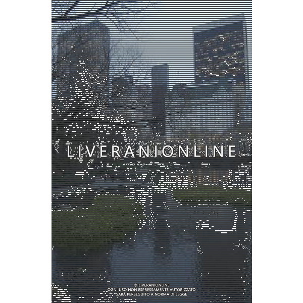 Central Park in New York City at Dusk Facing East with the Pond in the foreground and Fifthth Avenue buildings looming in the background. Date: 12/14/09. Photo Credit: Dan D\'Errico - Photoshot - Ag. Aldo Liverani sas ITALY ONLY