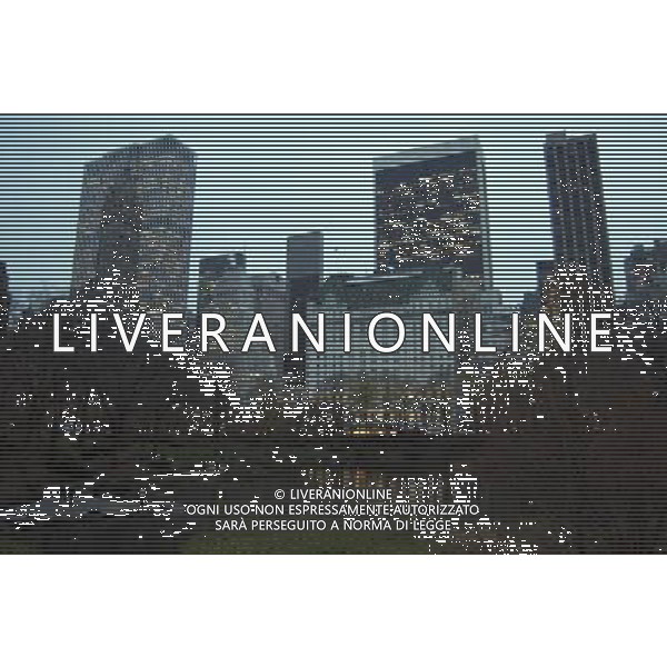 Central Park at Dusk with View of the Pond and Central Park South Buildings, New York City, 12/14/2009. Buildings include GM Building and Plaza Hotel. Photo Credit: Dan D\'Errico - Photoshot - Ag. Aldo Liverani sas ITALY ONLY