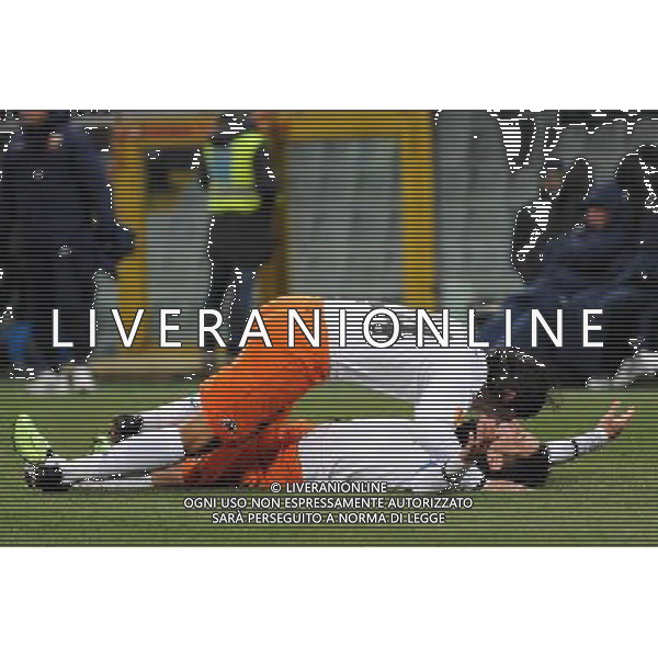 17-12-2009 Genova Sport-Calcio Genoa Valencia Europa League 2009/2010 Nella foto:Esultanze del valencia dopo il gol di Villa AG ALDO LIVERANI 