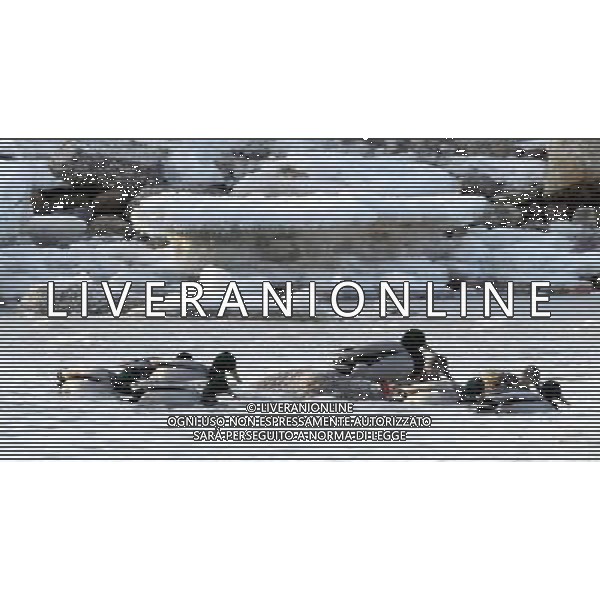 (091231) -- QINHUANGDAO, Dec. 31, 2009 () -- Mallards search for food on the wetland in Qinhuangdao, a coastal city in north China\'s Hebei Province, Dec. 16, 2009. A flock of mallards fly to the coastal wetland that has not froze over. (/Yang Shiyao) (msq) /Agenzia Aldo Liverani Sas - ITALY ONLY - ANATRA - ANATRE SELVATICHE - VOLATILI - UCCELLI MIGRATORI