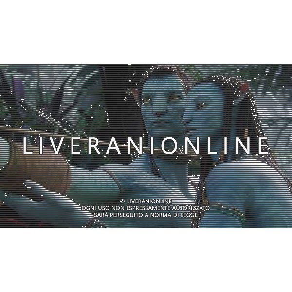 FILM\'AVATAR\' NELLA FOTO SCENA DEL FILM AG ALDO LIVERANI