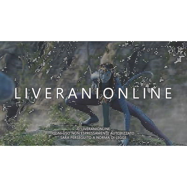 FILM\'AVATAR\' NELLA FOTO SCENA DEL FILM AG ALDO LIVERANI