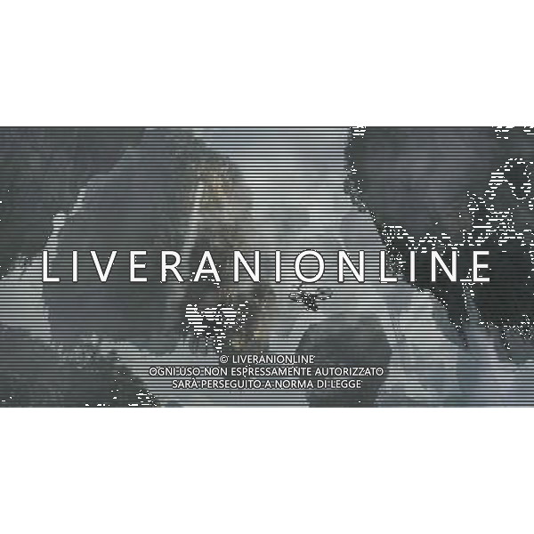 FILM\'AVATAR\' NELLA FOTO SCENA DEL FILM AG ALDO LIVERANI