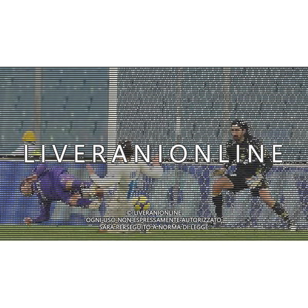 Coppa Italia TIM Cup 2009/2010 Ottavi di Finale Firenze - 14.01.2010 Fiorentina-Chievo Nella Foto: IL GOL DI ADRIAN MUTU /Ph.Vitez-Ag. Aldo Liverani