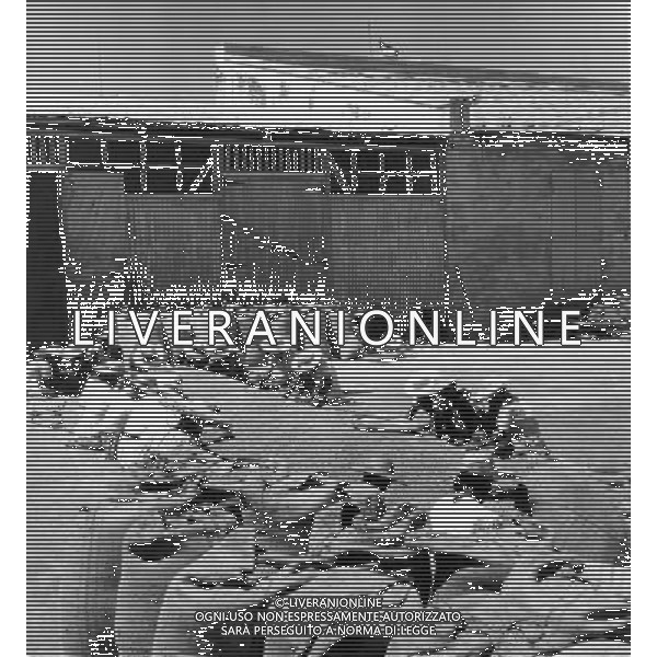 Haiti nazione dell\'America, isola del mar dei Caraibi: Haiti e\' il paese piu\' povero delle Americhe Produzione e lavorazione di Caffe\', il poverissimo sistema economico-produttivo haitiano produce Arabica - retrospettiva ©archivio Giovanni Liverani/Agenzia Aldo Liverani Sas