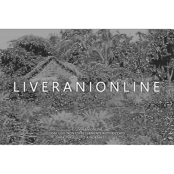 Haiti nazione dell\'America, isola del mar dei Caraibi: Haiti e\' il paese piu\' povero delle Americhe retrospettiva ©archivio Giovanni Liverani/Agenzia Aldo Liverani Sas