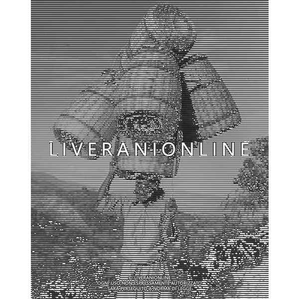 Haiti nazione dell\'America, isola del mar dei Caraibi: Haiti e\' il paese piu\' povero delle Americhe nella foto la popolazione e abitanti del luogo retrospettiva ©archivio Giovanni Liverani/Agenzia Aldo Liverani Sas