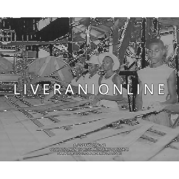 Haiti nazione dell\'America, isola del mar dei Caraibi: Haiti e\' il paese piu\' povero delle Americhe nella foto la coltivazione e lavorazione della Sisal (Manila hemp) dalla quale si estraggono fibre per la produzione di corde retrospettiva ©archivio Giovanni Liverani/Agenzia Aldo Liverani Sas