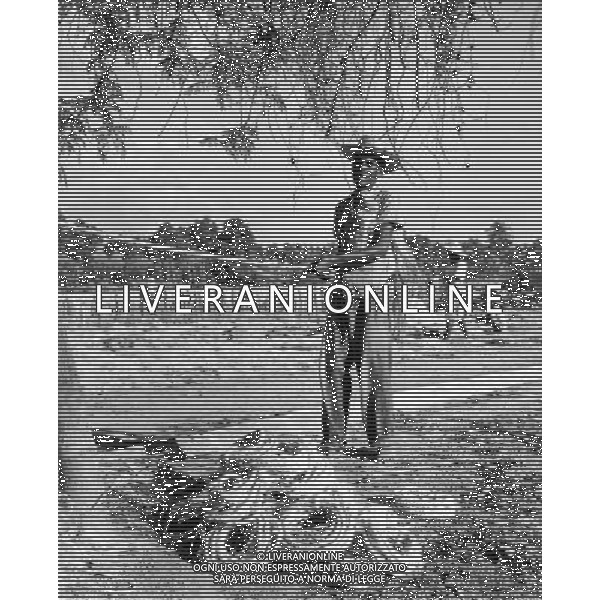 Haiti nazione dell\'America, isola del mar dei Caraibi: Haiti e\' il paese piu\' povero delle Americhe nella foto la coltivazione e lavorazione della Sisal (Manila hemp) dalla quale si estraggono fibre per la produzione di corde retrospettiva ©archivio Giovanni Liverani/Agenzia Aldo Liverani Sas