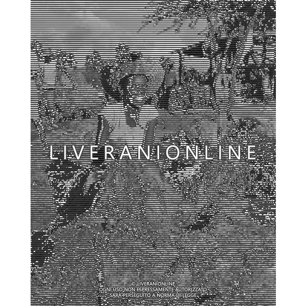 Haiti nazione dell\'America, isola del mar dei Caraibi: Haiti e\' il paese piu\' povero delle Americhe nella foto la coltivazione e lavorazione della Sisal (Manila hemp) dalla quale si estraggono fibre per la produzione di corde retrospettiva ©archivio Giovanni Liverani/Agenzia Aldo Liverani Sas