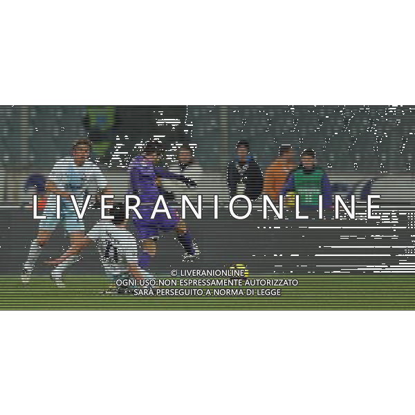 Coppa Italia TIM Cup 2009/2010 Quarti di Finale Firenze - 20.01.2010 Fiorentina-Lazio Nella Foto:IL GOL DI ADRIAN MUTU /Ph.Vitez-Ag. Aldo Liverani