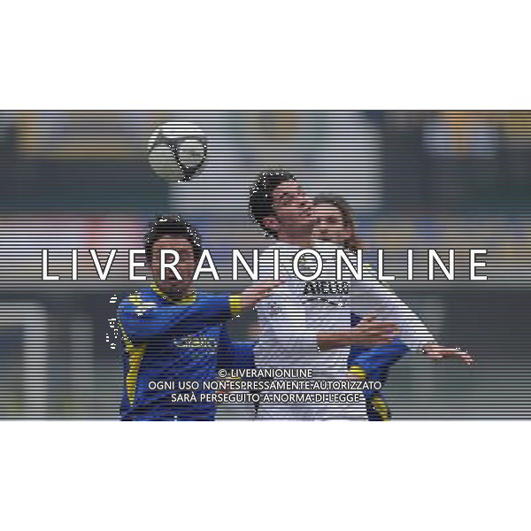Lega Pro 1¡ Divisione Girone B 2009/2010 21¡Giornata Verona - 24.01.2010 Verona-Cosenza Nella Foto:CECCARELLI-DANTI /Ph.Vitez-Ag. Aldo Liverani