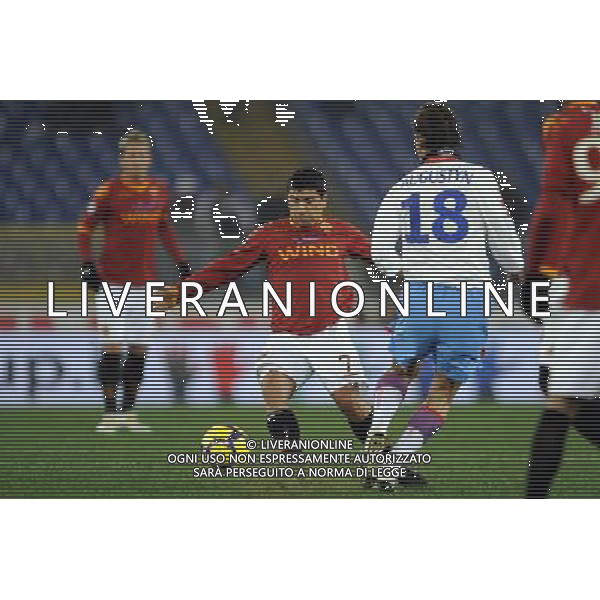 AS Roma vs Catania 26/01/2010 Coppa Italia TIM CUP 2009/2010 - Quarti di Finale nella foto: david marcelo Pizarro ph. Corradetti / ©Agenzia Aldo Liverani Sas